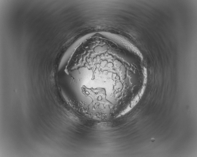 X0000062140269200512301535