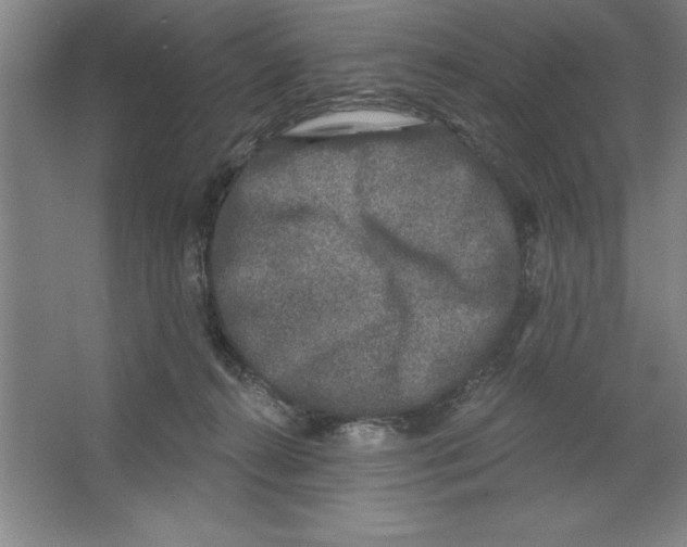 X0000062140272200512301535