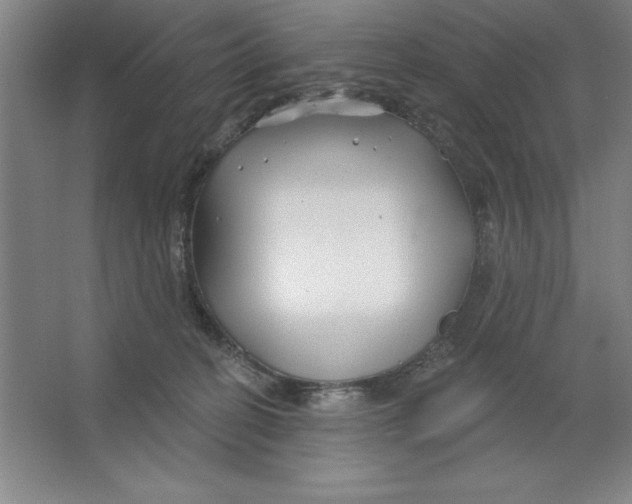 X0000062140274200512301535