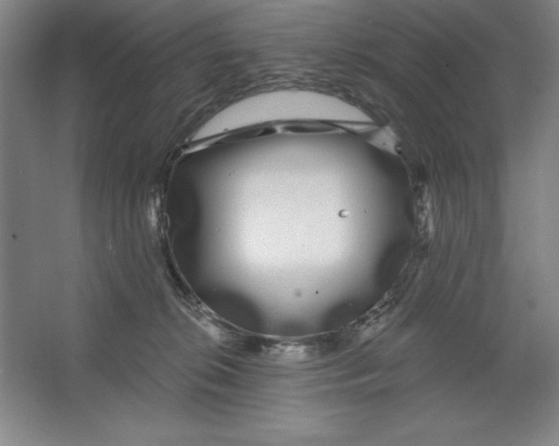 X0000062140276200512301535