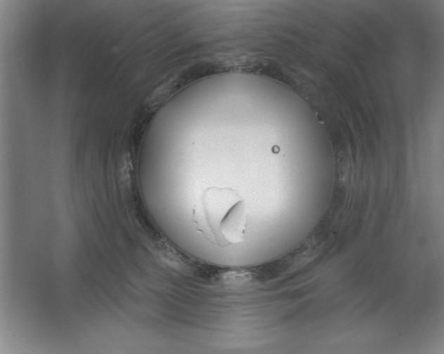 X0000062140279200512301535