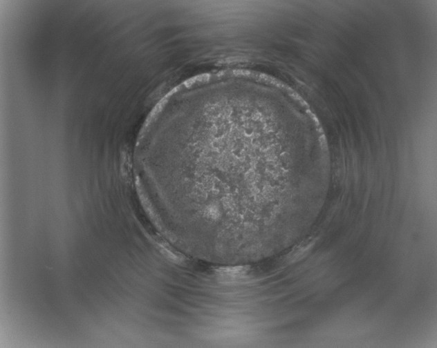 X0000062140281200512301535