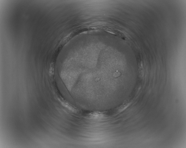 X0000062140284200512301535