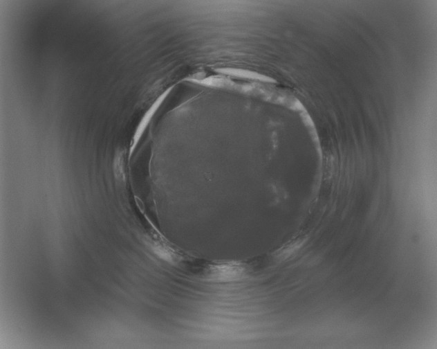 X0000062140286200512301535