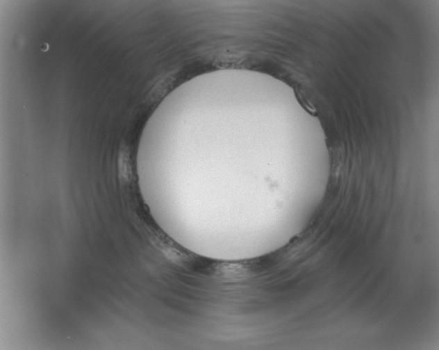 X0000062140287200512301535