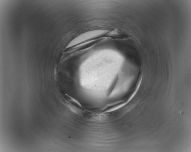 X0000062140288200512301535