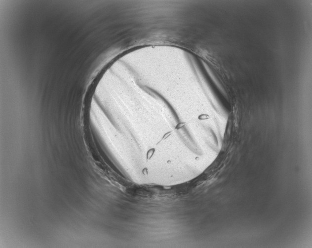 X0000062140292200512301534