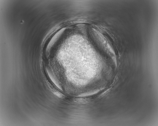 X0000062140293200512301534