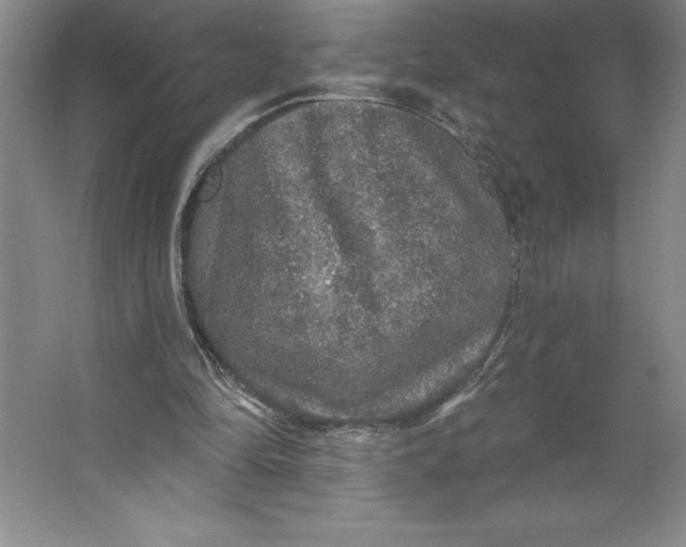 X0000062140294200512301534