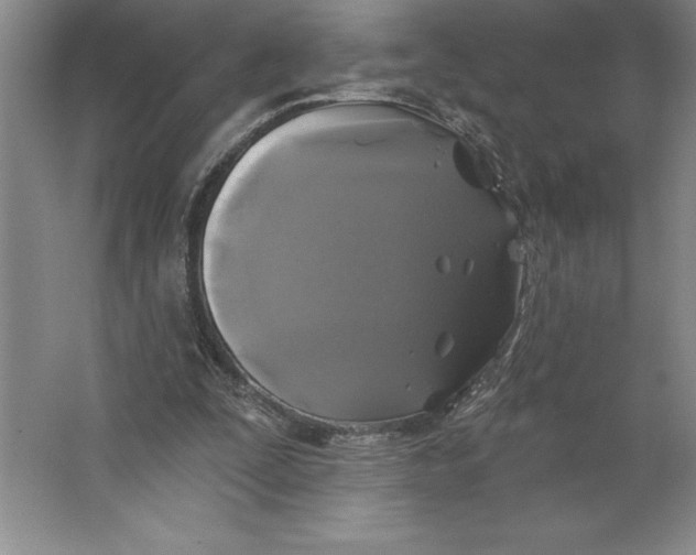 X0000062140295200512301534