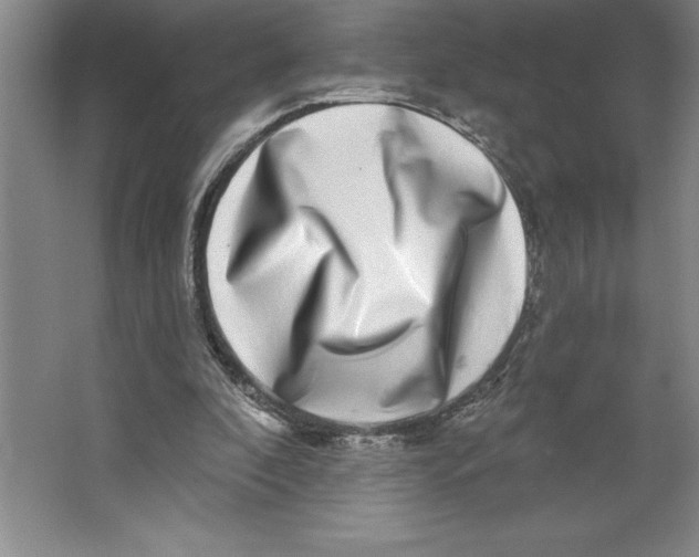 X0000062140296200512301534