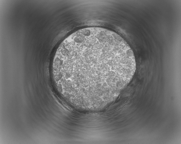 X0000062140299200512301534