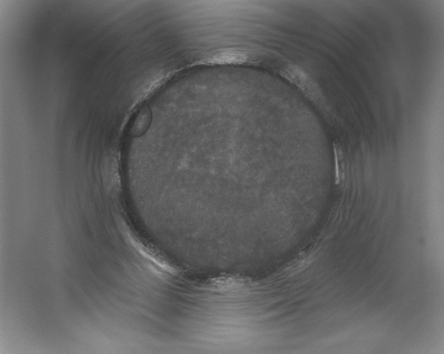 X0000062140300200512301534