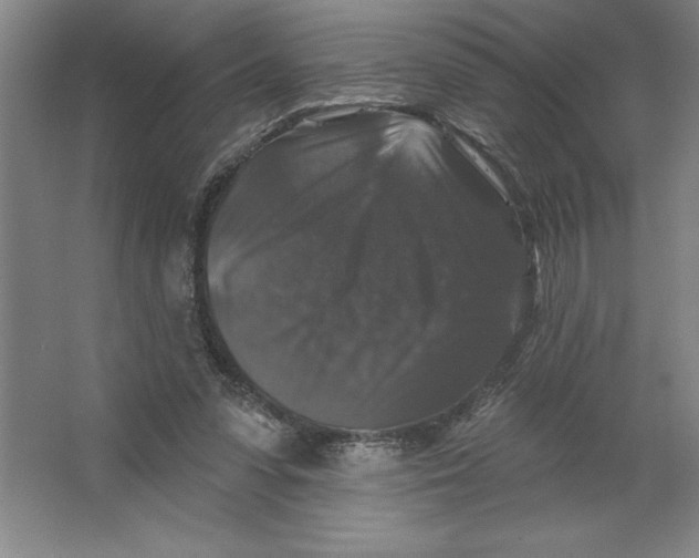 X0000062140303200512301534