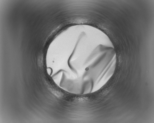 X0000062140304200512301534