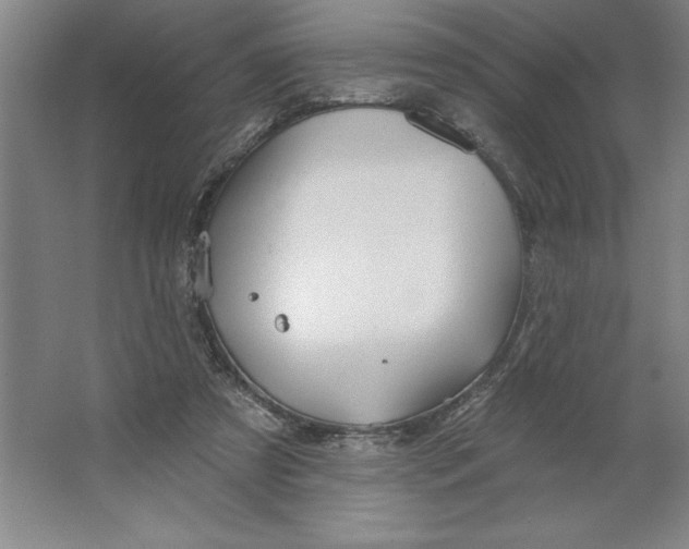 X0000062140305200512301534