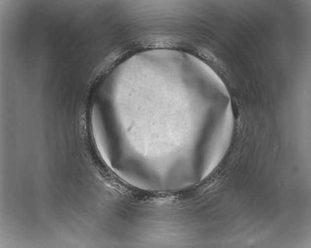 X0000062140306200512301534