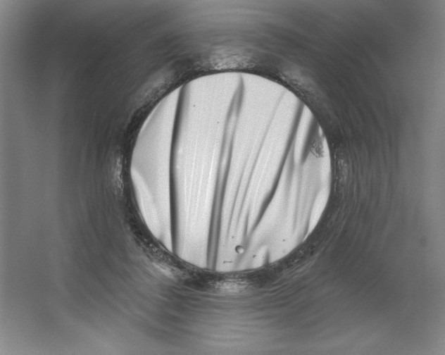 X0000062140308200512301534