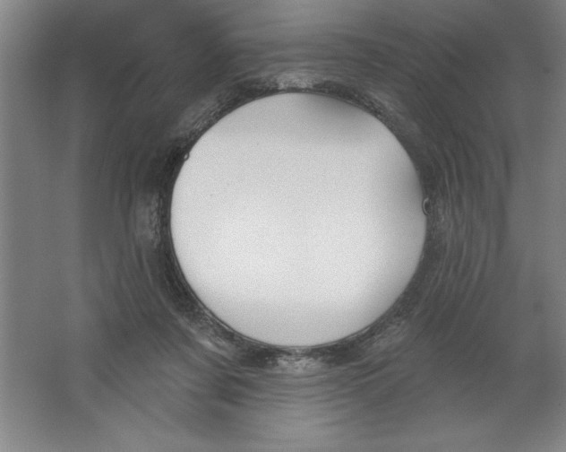 X0000062140311200512301534