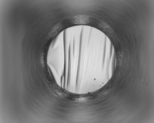 X0000062140312200512301534