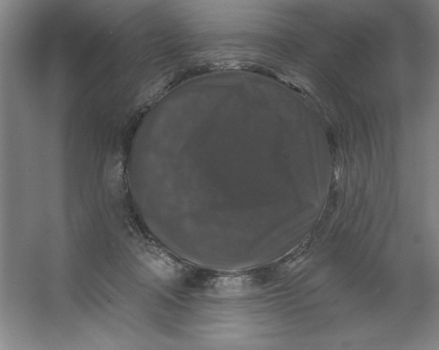 X0000062140314200512301534