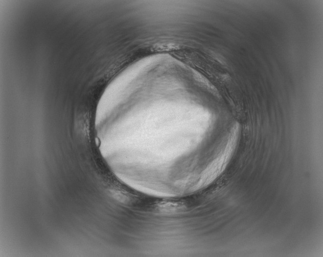 X0000062140315200512301534