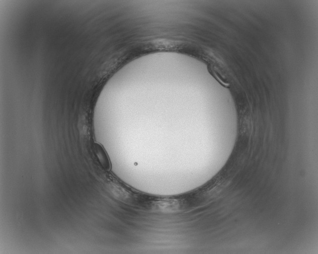 X0000062140317200512301534