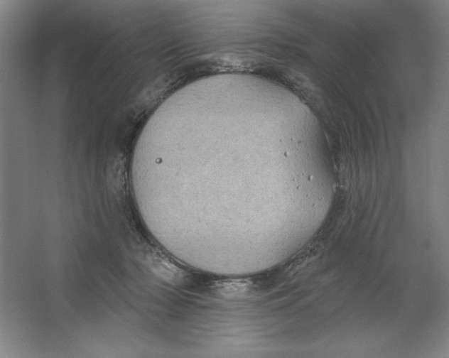 X0000062140318200512301534