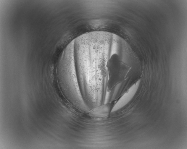 X0000062140319200512301534