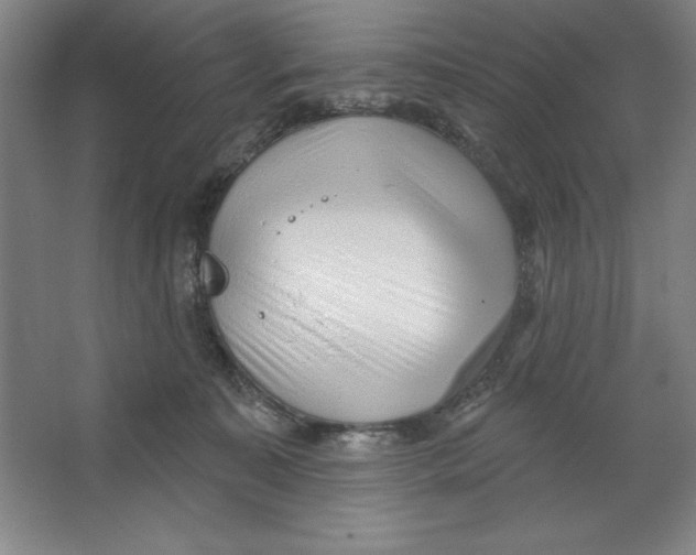 X0000062140323200512301534