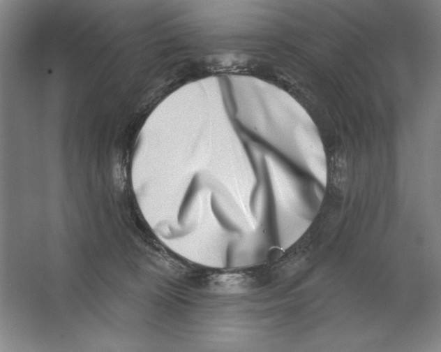 X0000062140324200512301534