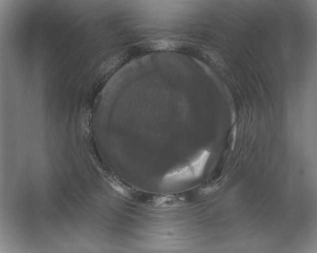 X0000062140325200512301534