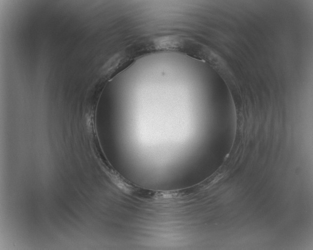 X0000062140329200512301534