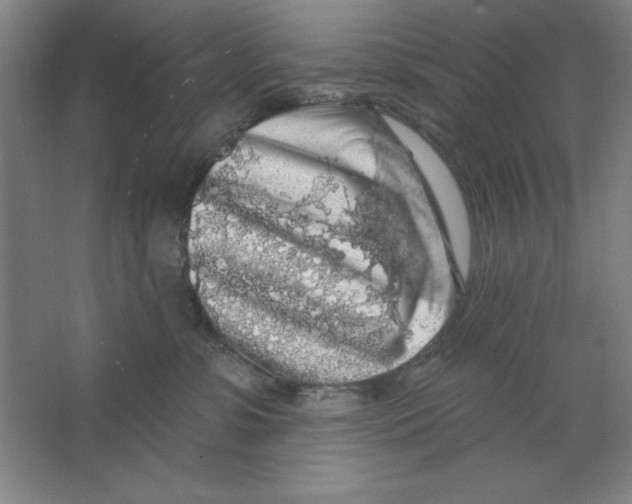 X0000062140331200512301534