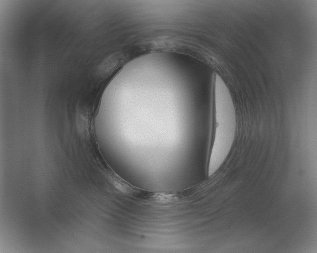 X0000062140333200512301534