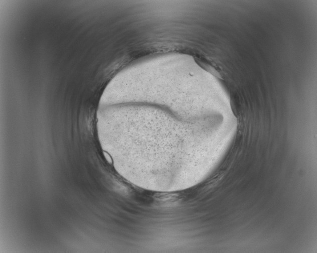 X0000062140334200512301534