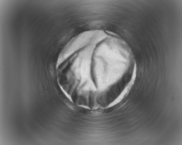 X0000062140335200512301534