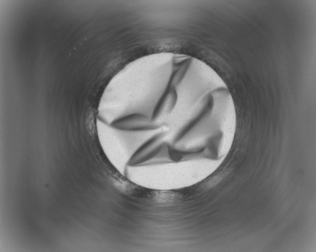 X0000062140336200512301534