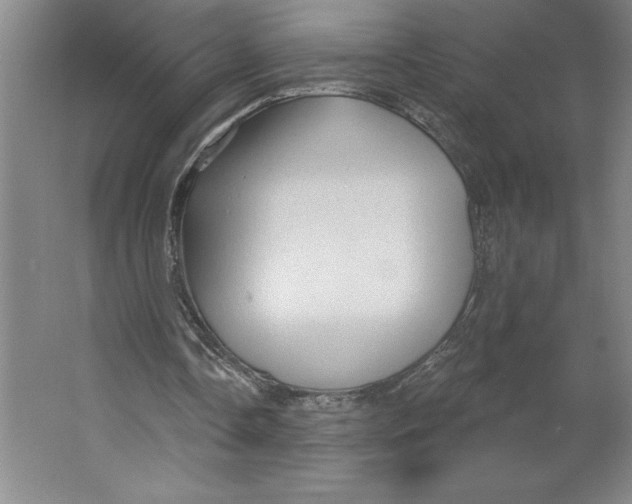 X0000062140338200512301533