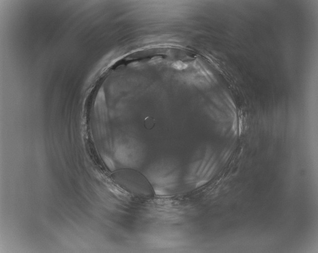 X0000062140339200512301533