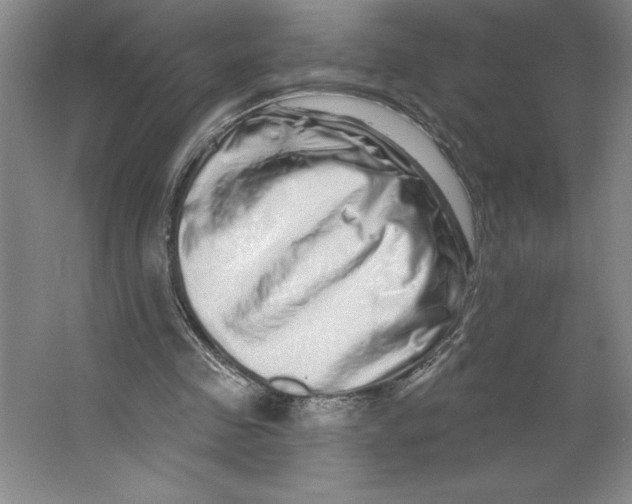 X0000062140341200512301533