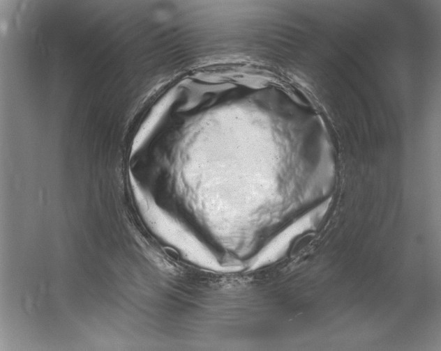 X0000062140345200512301533