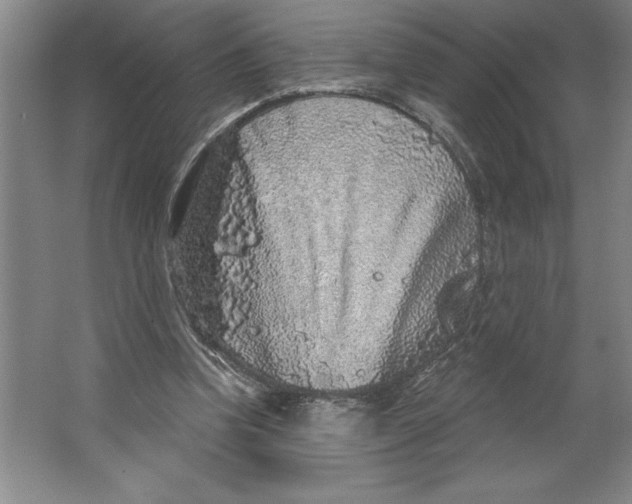 X0000062140346200512301533