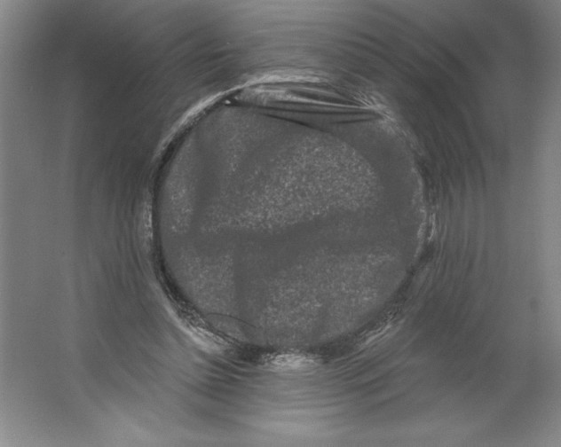 X0000062140348200512301533