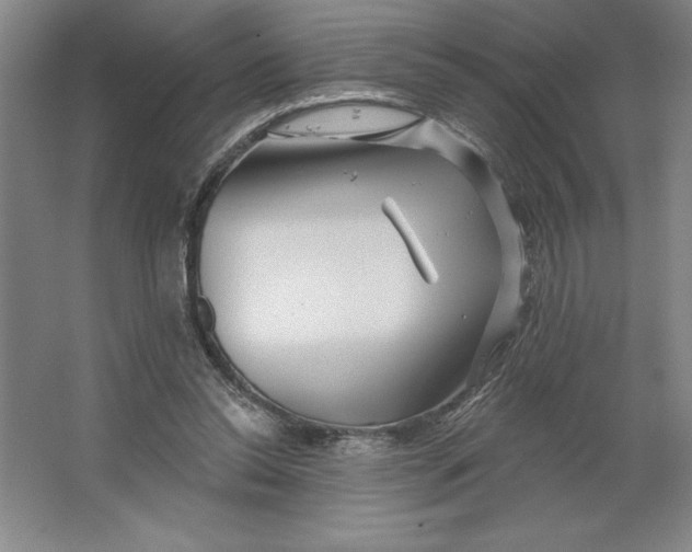 X0000062140350200512301533