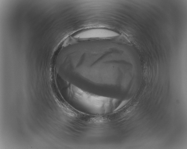 X0000062140351200512301533