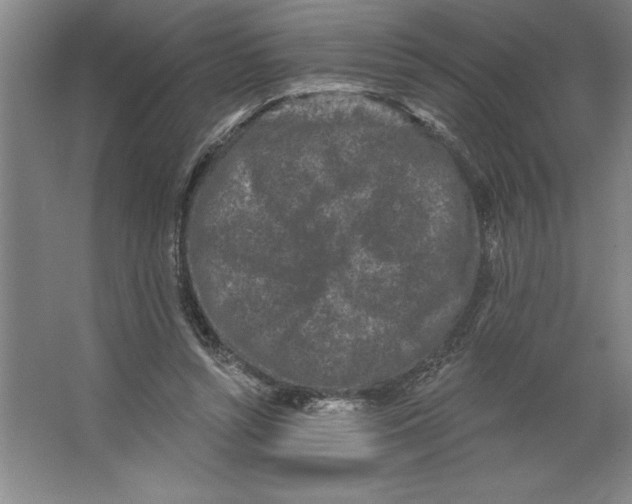 X0000062140352200512301533