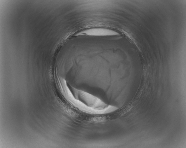 X0000062140353200512301533