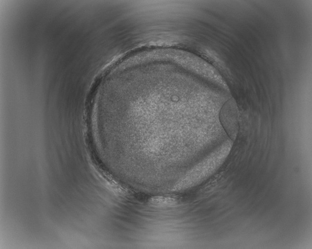 X0000062140354200512301533