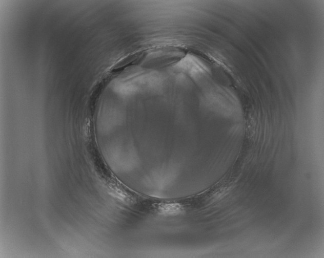 X0000062140355200512301533